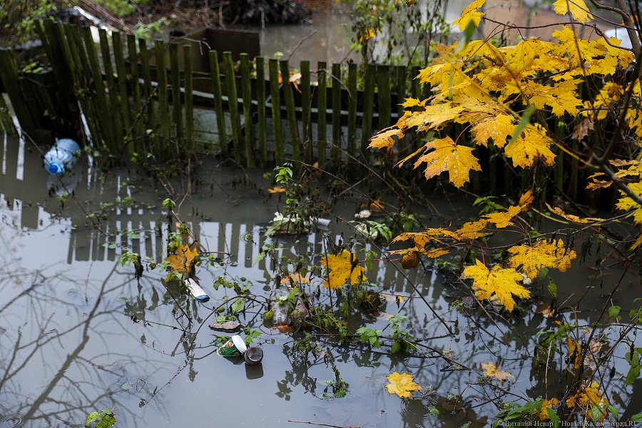 Водный мир на Орудийной: в Калининграде тонет в болоте жилой дом
