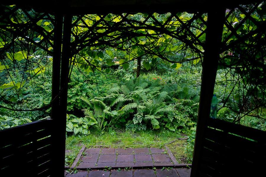 На неведомых дорожках: дендропарк калининградского Экоцентра