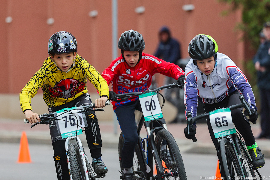 Лыжи, велики, унициклы: как прошёл велопарад в Калининграде (фото)