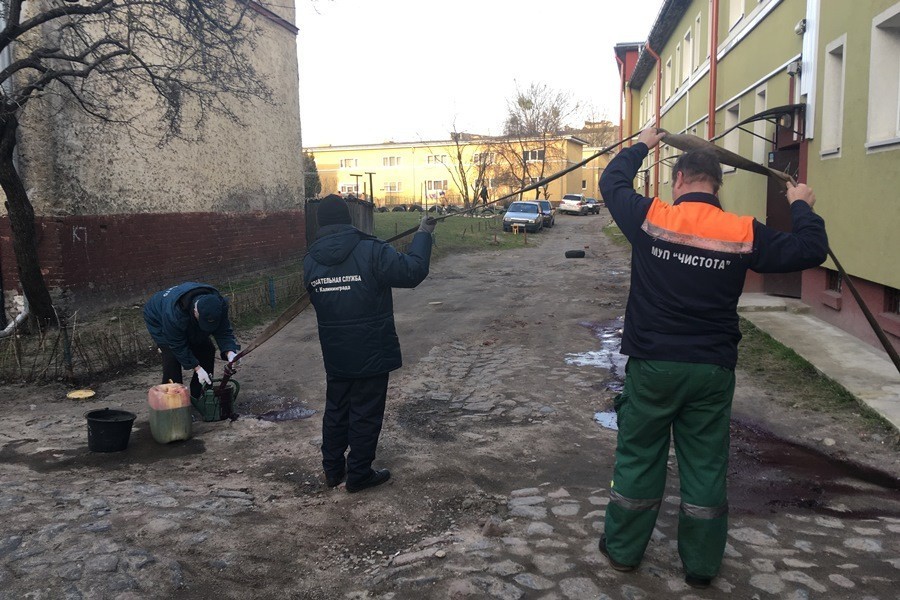 Спасатели вывезли с контейнерной площадки в Калининграде 1,5 кг ртути
