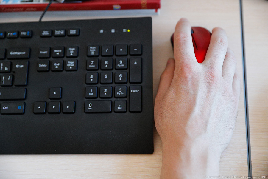 В России хотят легализовать просмотр порно через верификацию на «Госуслугах»