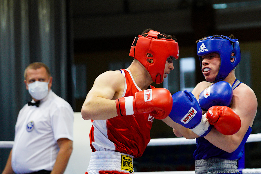 Очередной нокдаун: в Калининграде прошёл международный турнир по боксу «Янтарные перчатки»