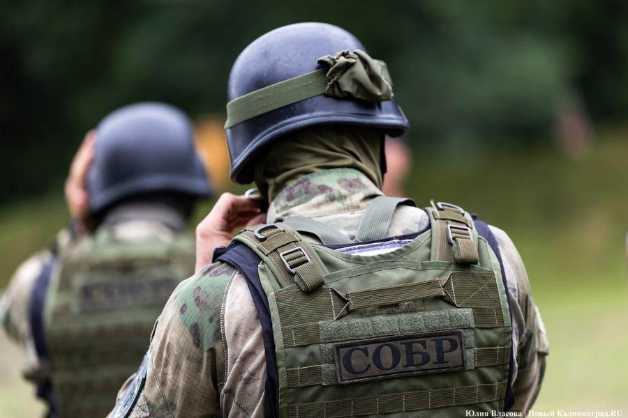 Таможенный спецназ: как проходит чемпионат по служебному двоеборью в Калининградской области (фото)