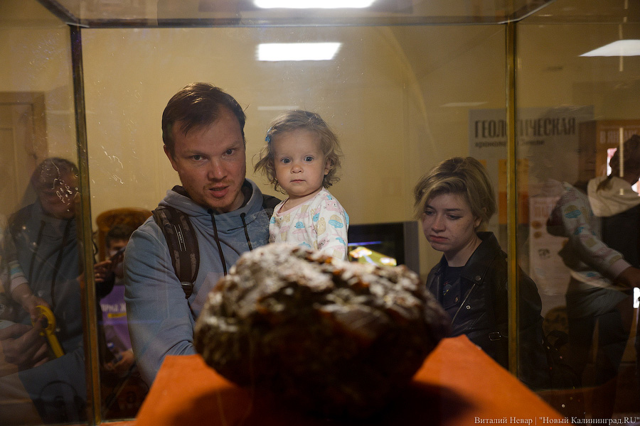 Жить стало веселее: как изменилась Музейная ночь в Калининграде (фото)