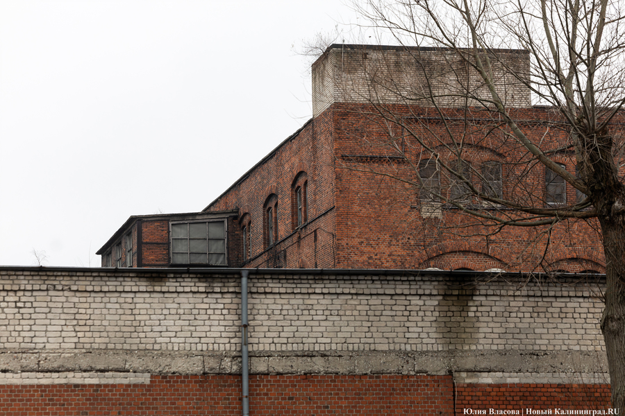 Постапокалиптический пейзаж: что происходит с территорией бывшего ЦБЗ-1 (фото)