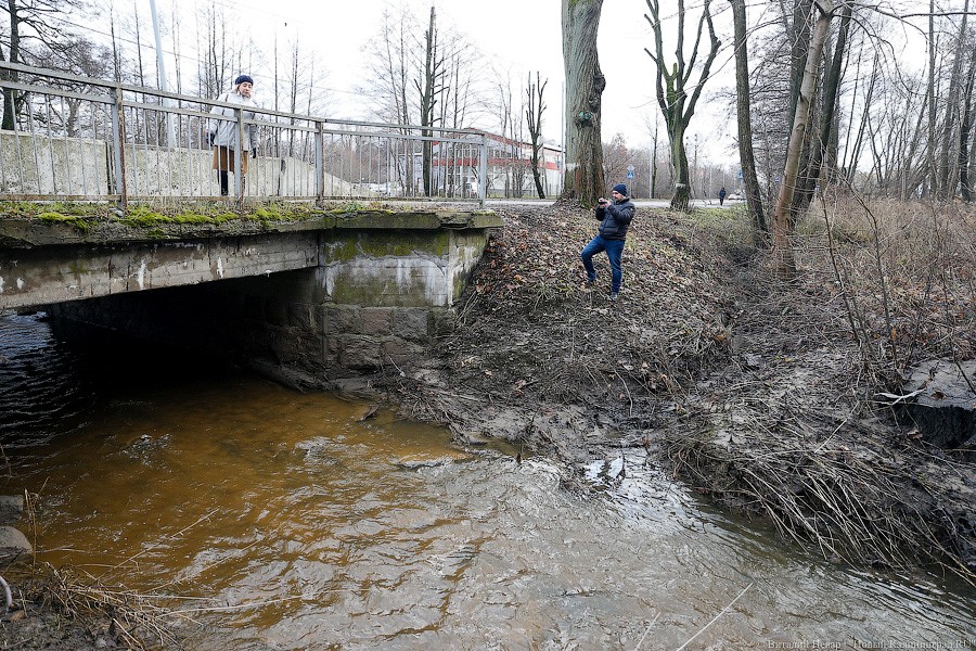 «Тут рыба была»: как спасают речку в «не очень хорошем» состоянии