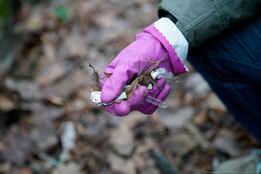 Теория целых окон: волонтеры пытаются спасти здание на Расковой с помощью уборки (фото)