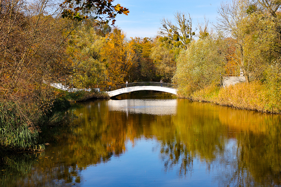 Время тыквы: как в Калининграде проходит необычная осень (фото)