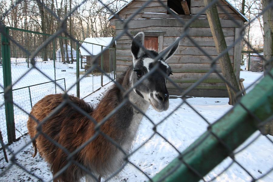 Спальноград: поездка в Гурьевск