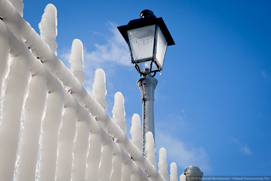 Президенция Деда Мороза: набережная в Пионерском после шторма (фото)