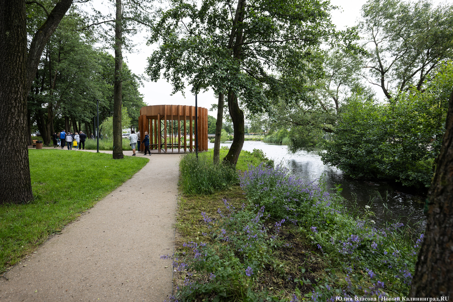 Планы развития к юбилею области: как губернатор в мкр. Космодемьянского выезжал (фото)