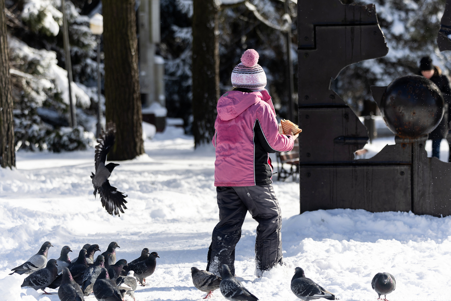 Зима не сдаётся: как выглядят улицы Калининграда после «снежного удара» (фото)