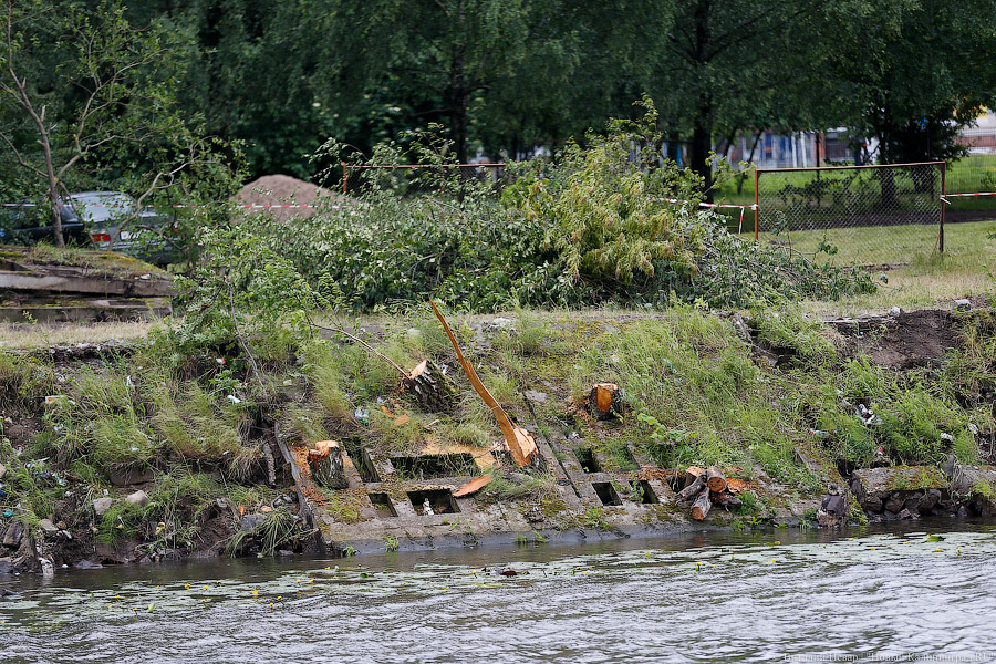 Для строительства набережной Карбышева разрешили вырубить 164 дерева (фото)