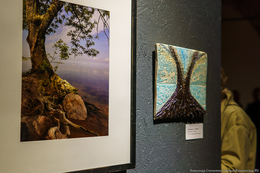 «О чем молчат деревья»: в Воротах открылась выставка, воспевающая придорожные аллеи (фото)