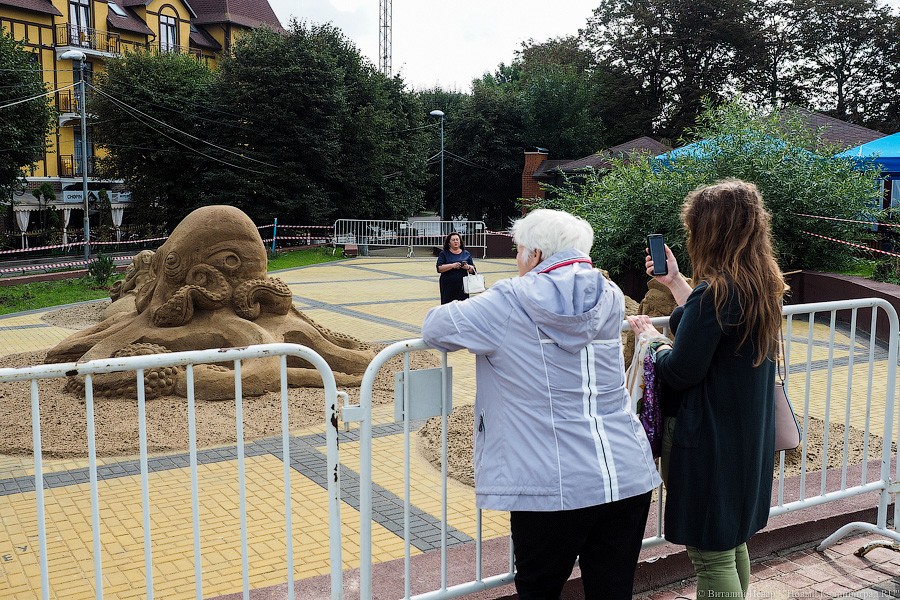 Со дна моря: в Зеленоградске сделали 5 скульптур из песка