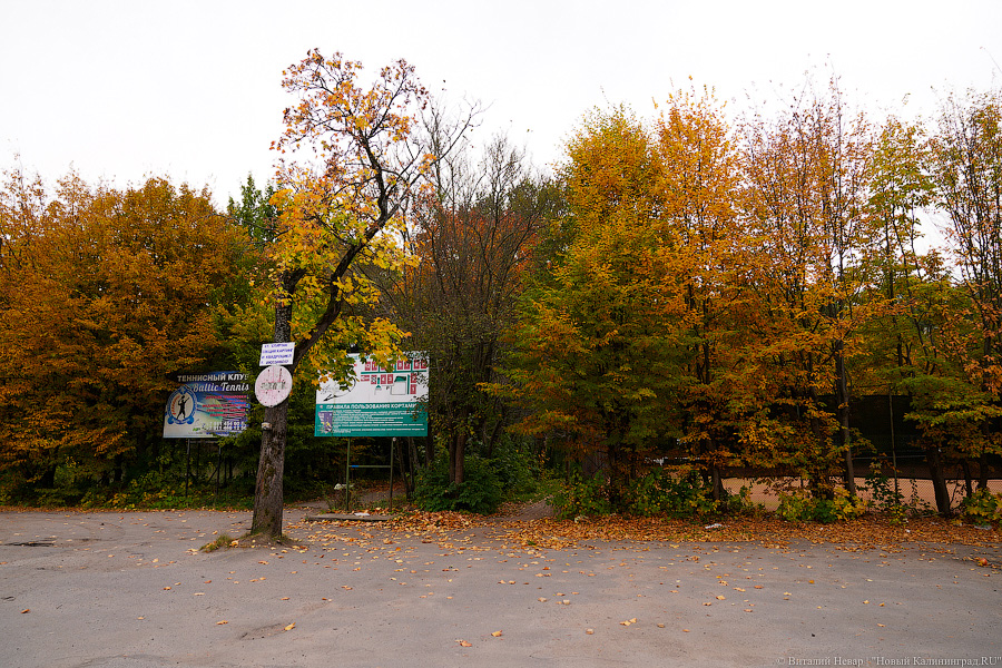 Увидеть в последний раз: осень на стадионе «Спартак», который хотят застроить (фото)