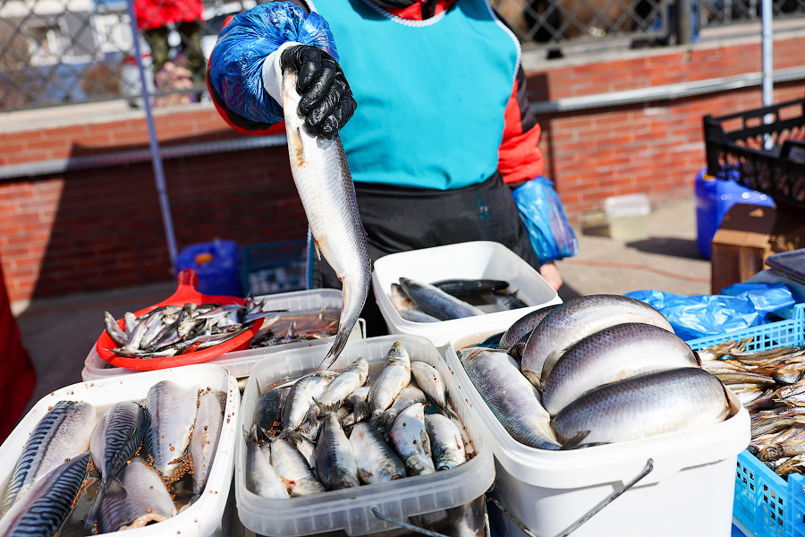 Селедка под сакурой: как прошел самый известный в России калининградский праздник (фото)