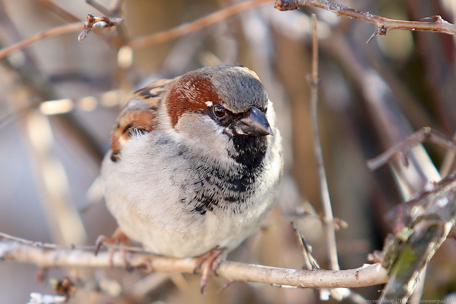 Ненастье и солнце: синоптики обещают улучшение погоды к концу выходных