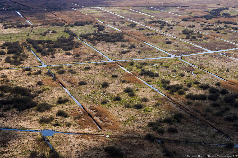 Под винтом вертолёта о чем-то поёт: воздушный парад глазами участника (фото)