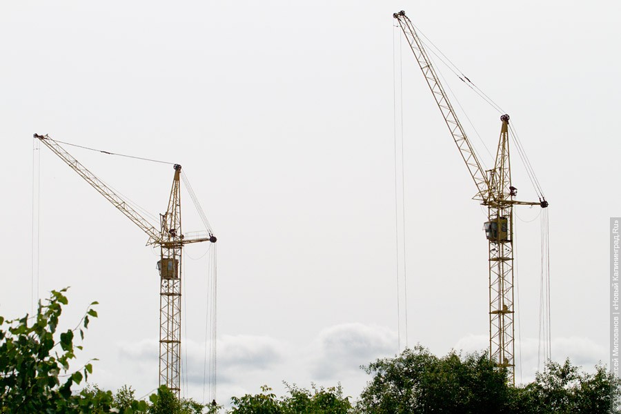 Фото — Алексей Милованов, «Новый Калининград»