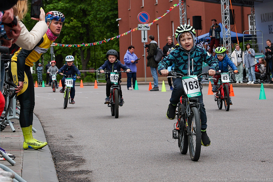 Лыжи, велики, унициклы: как прошёл велопарад в Калининграде (фото)