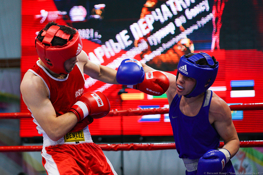 Очередной нокдаун: в Калининграде прошёл международный турнир по боксу «Янтарные перчатки»