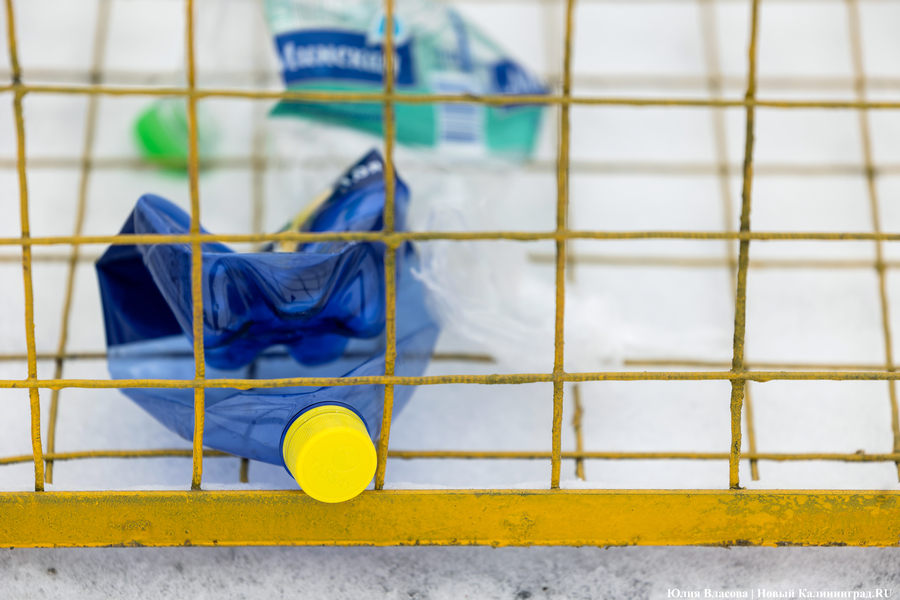 «Ничего на свалку не уйдет»: в Калининграде стали раздельно собирать 14 видов отходов (фото)