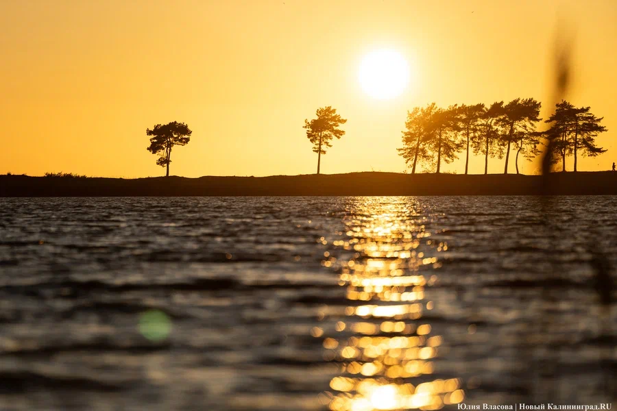 Малооблачно и +16°C: погода в Калининградской области 13 марта