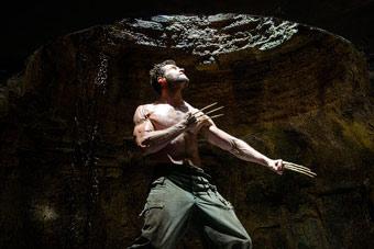 Японские мотивы