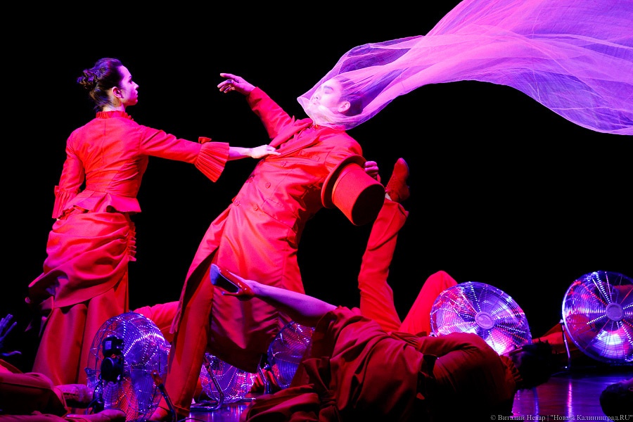 Фото — Виталий Невар, «Новый Калининград»