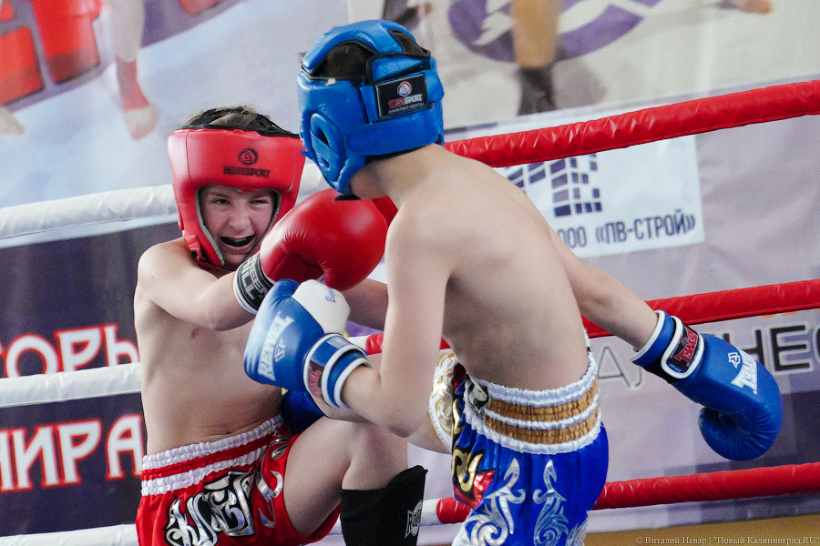 «Ударный» день: в Калининграде прошел чемпионат области по кикбоксингу