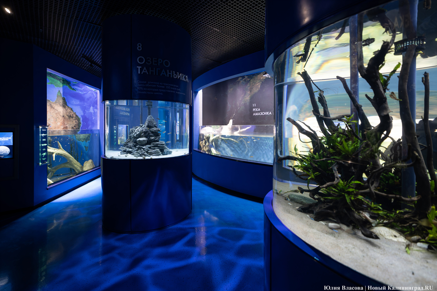 Музей-корабль, музей-планета: экскурсия по корпусу-шару «Планета Океан»