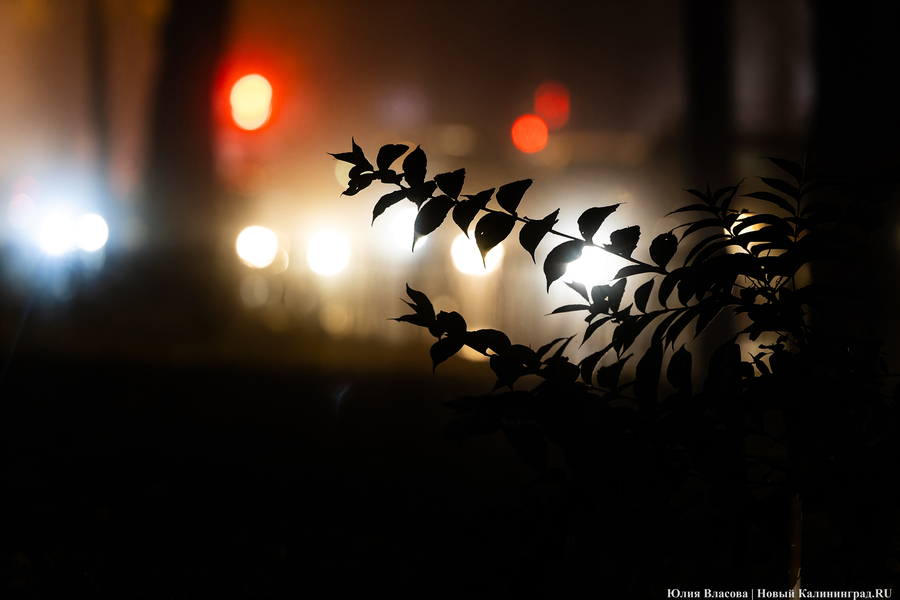 Погода в Калининградской области 27 февраля