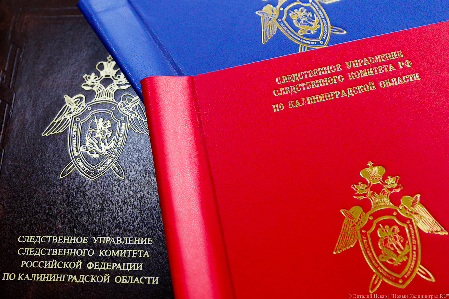 Житель Неманского округа признан виновным в изнасиловании падчерицы