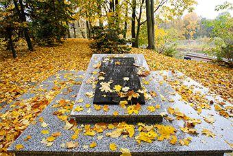 Цуканов — мэрии Калининграда по поводу «холма Бесселя»: заглядывайте в историю