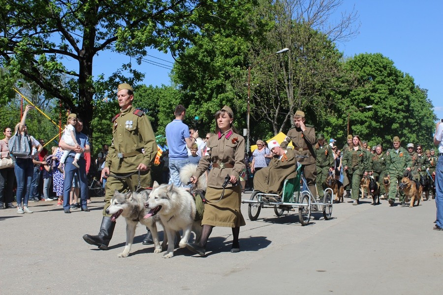 В Калининграде впервые прошла акция «Лохматый полк» (фото)