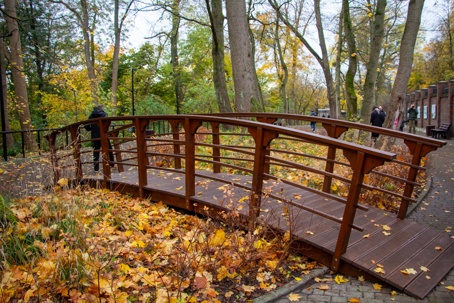 «С минимальным антропогенным воздействием»: в Калининграде открыли Зоологический сквер (фото)