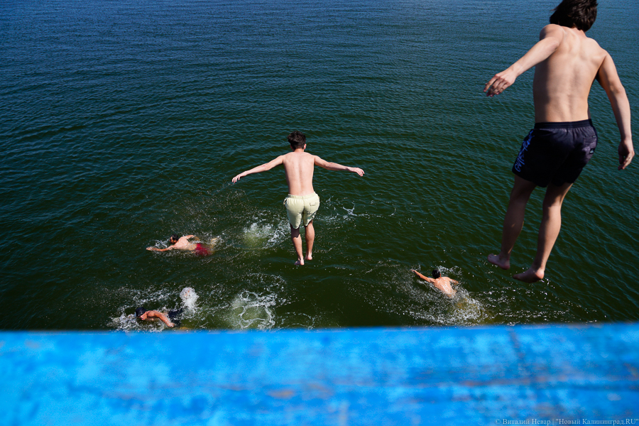 Фото: Виталий Невар / Новый Калининград
