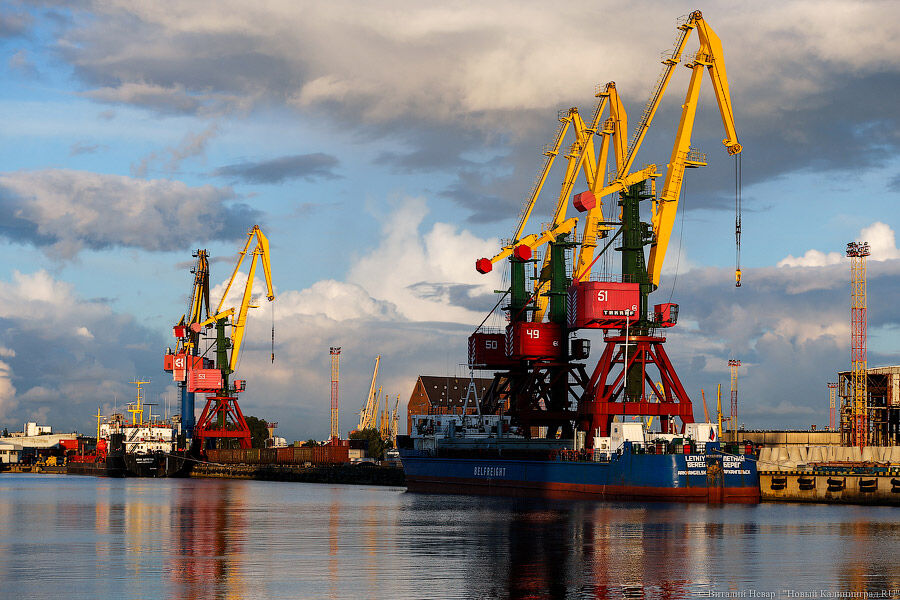 Директор Калининградского торгового порта перечислил акционеров предприятия