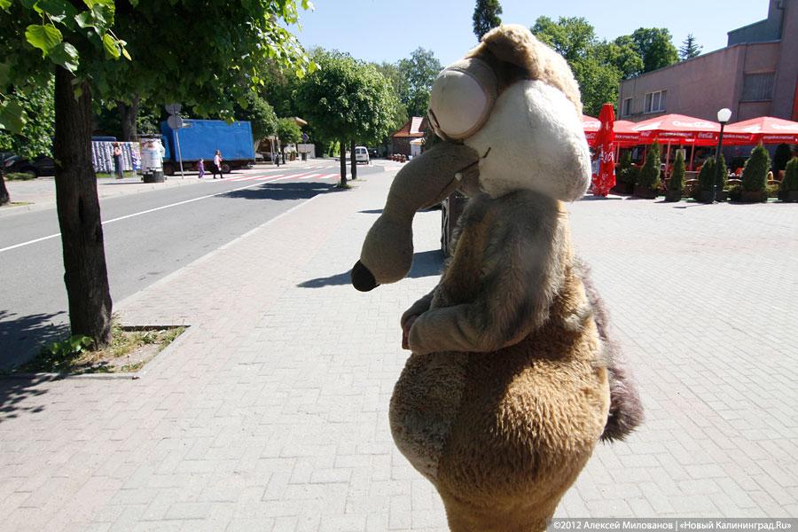 «Светлогорск накануне сезона»: фоторепортаж «Нового Калининграда.Ru»