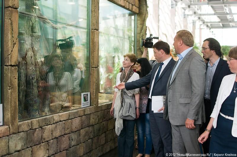 «Обезьянье счастье»: фоторепортаж «Нового Калининграда.Ru»