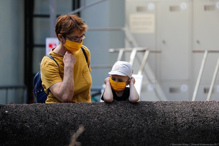 Дистанция в одного кенгуру: первый день работы Калининградского зоопарка (фото)