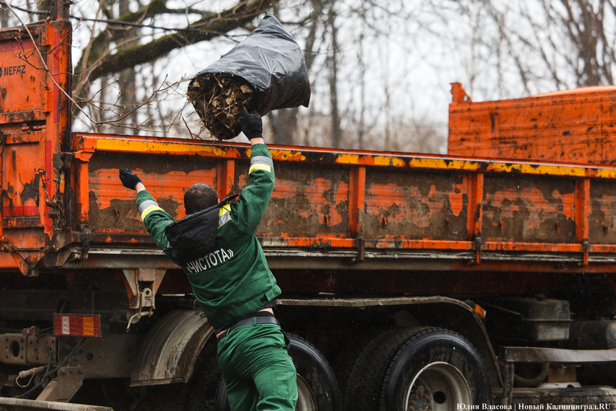 «Коммунальный Новый год»: как в Калининграде прошёл общегородской субботник