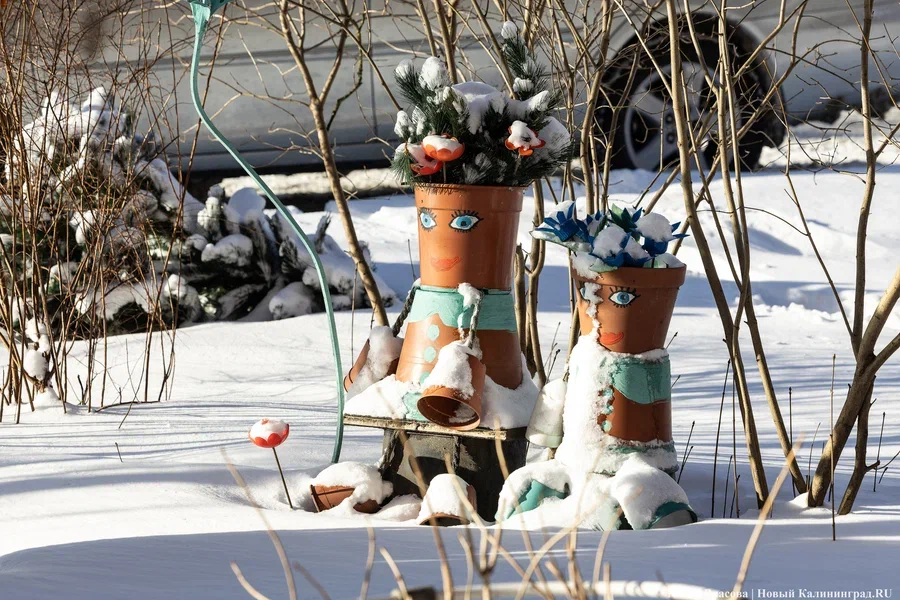 Временами снег: погода в Калининградской области 19 февраля