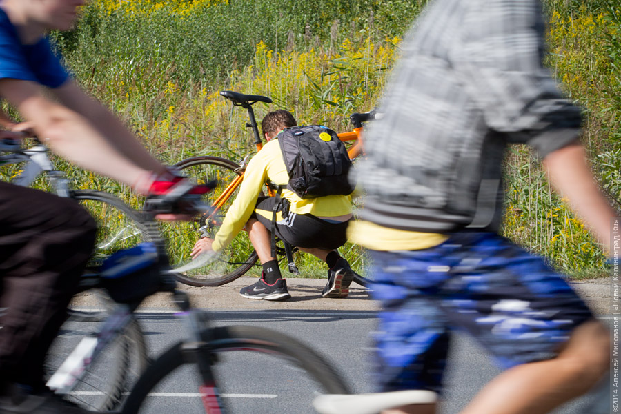 Фото — Алексей Милованов, «Новый Калининград.Ru»