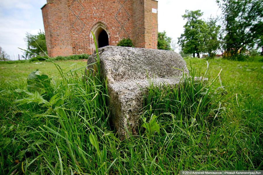 Навоз и куры: кирха 14-го века в поселке Каштаново стала пастбищем для скота