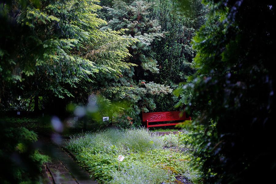 На неведомых дорожках: дендропарк калининградского Экоцентра