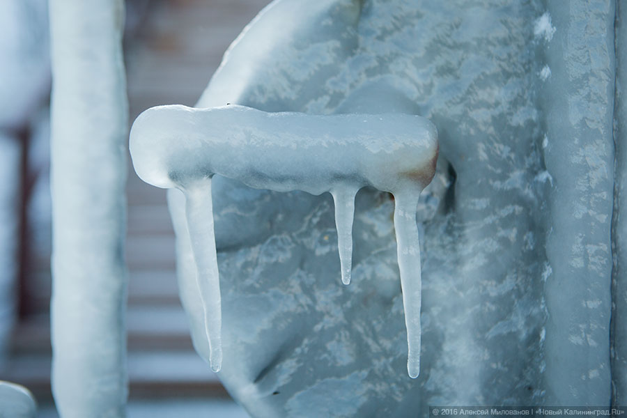 Президенция Деда Мороза: набережная в Пионерском после шторма (фото)