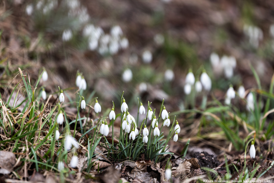 Синоптики предупредили о вероятности «существенного похолодания» в начале апреля