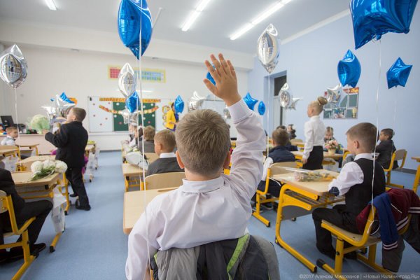 Торги на разработку проекта школы в Васильково выиграла компания из Омска